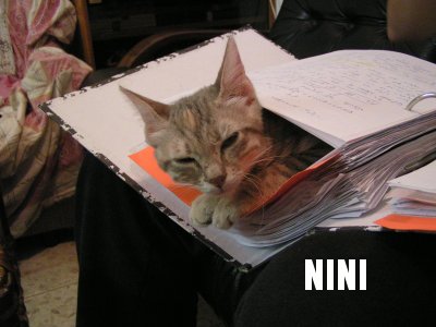 Nini in Hadar’s Physics binder